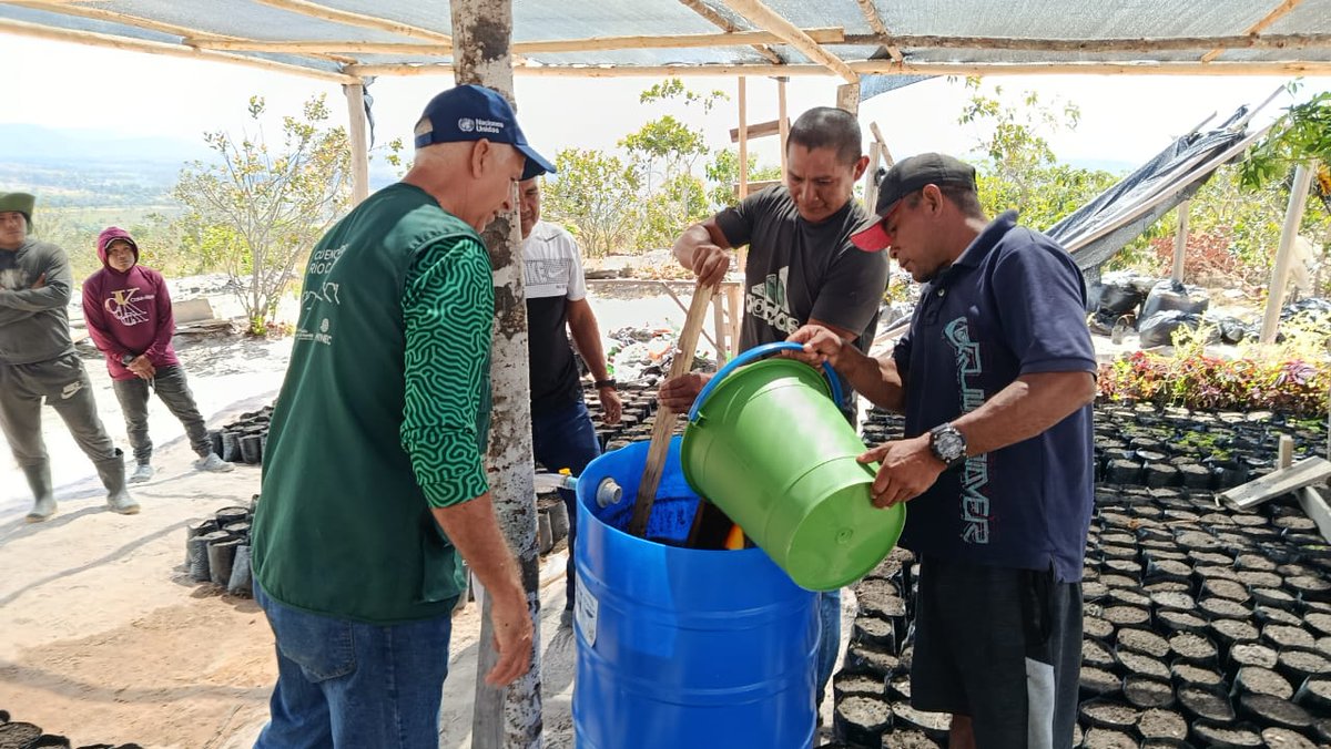 FAO_Venezuela's tweet photo. #CARONÍREPORTA
 | El #ProyectoCaroní ejecutado por @MinecOficial, @FAO y @theGEF llevó a cabo Taller de biofertilizantes anaeróbicos en el vivero del Palacio Pemón en Akurimá, sector 6 del municipio Gran Sabana, estado Bolívar.

#MejorProducción #UnaVidaMejor https://t.co/31Rd5ENcl7