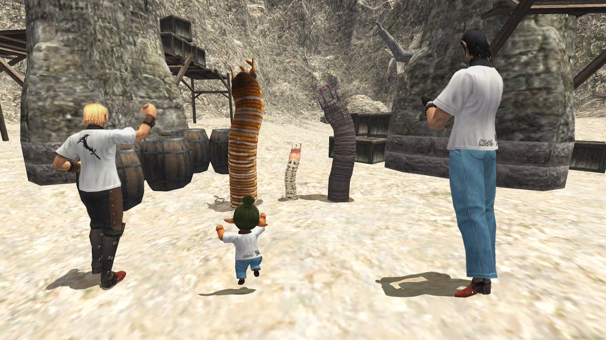 FINAL FANTASY XI tweet media