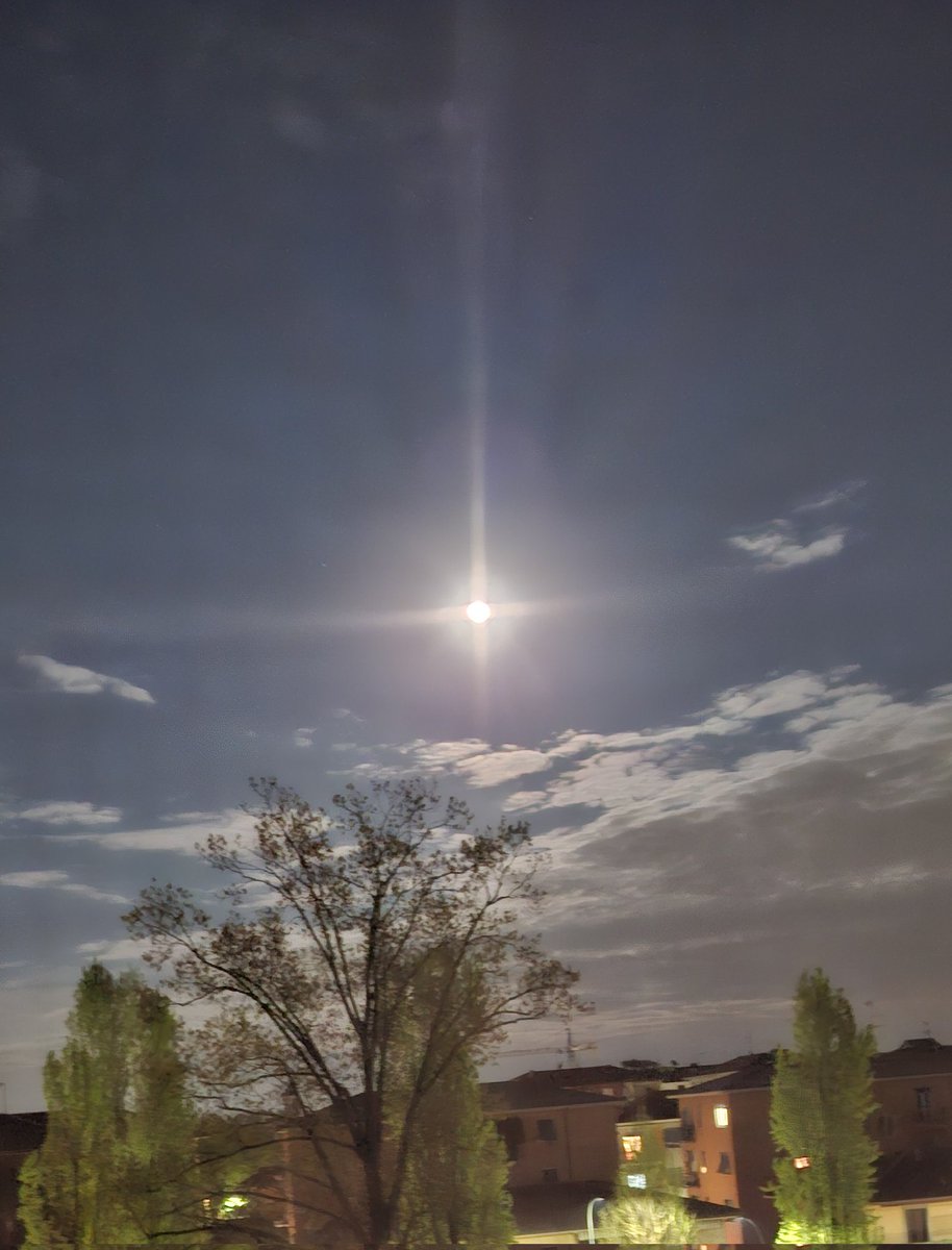 no sense 🔄 tweet media