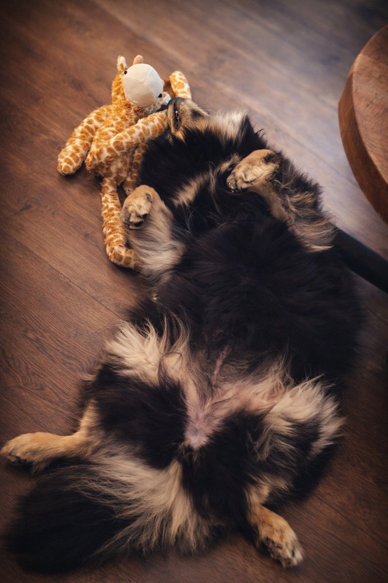 Robin | WolvesWisdom tweet media