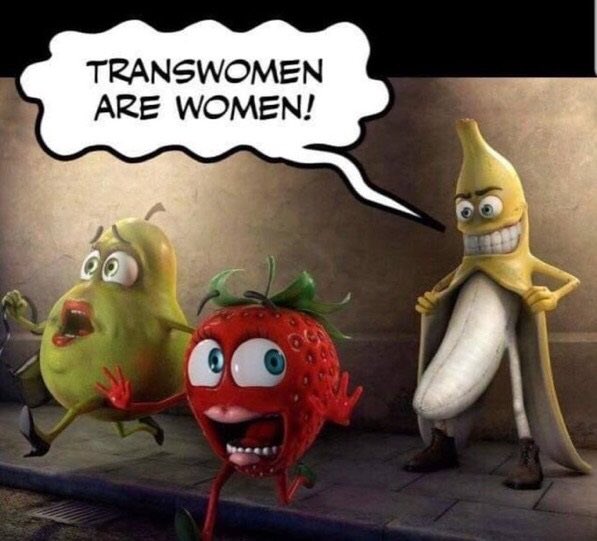 AstroTerf🦕🏴󠁧󠁢󠁳󠁣󠁴󠁿💚🤍💜 tweet media