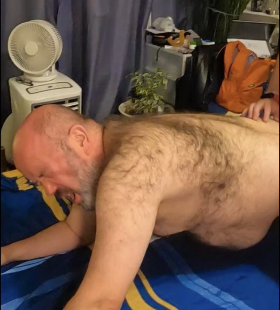 Boxeurbear tweet media