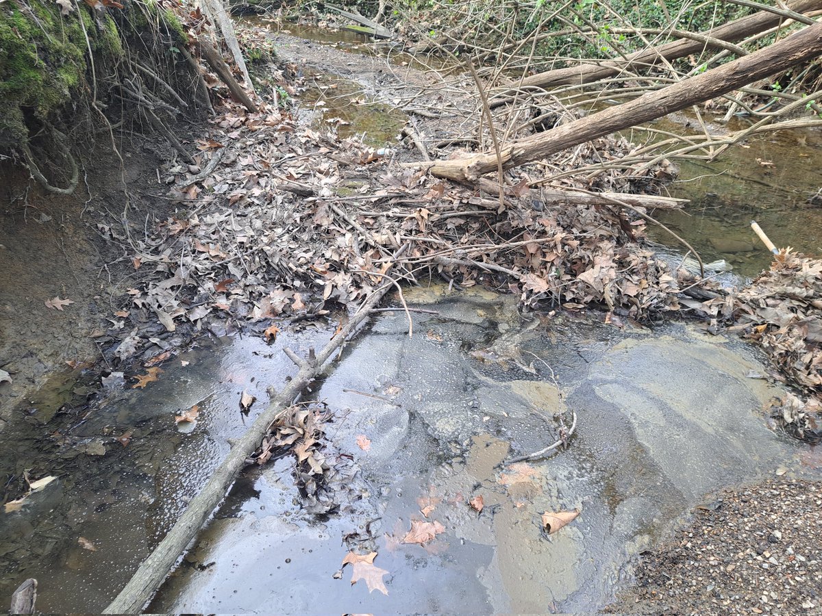 🔴Redball🔴 tweet media