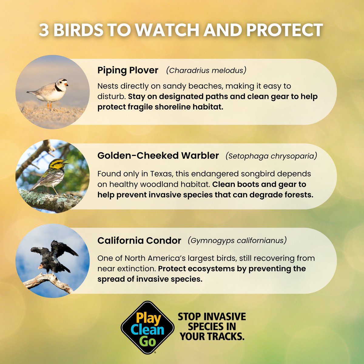 PlayCleanGo: Stop Invasive Species In Your Tracks tweet media