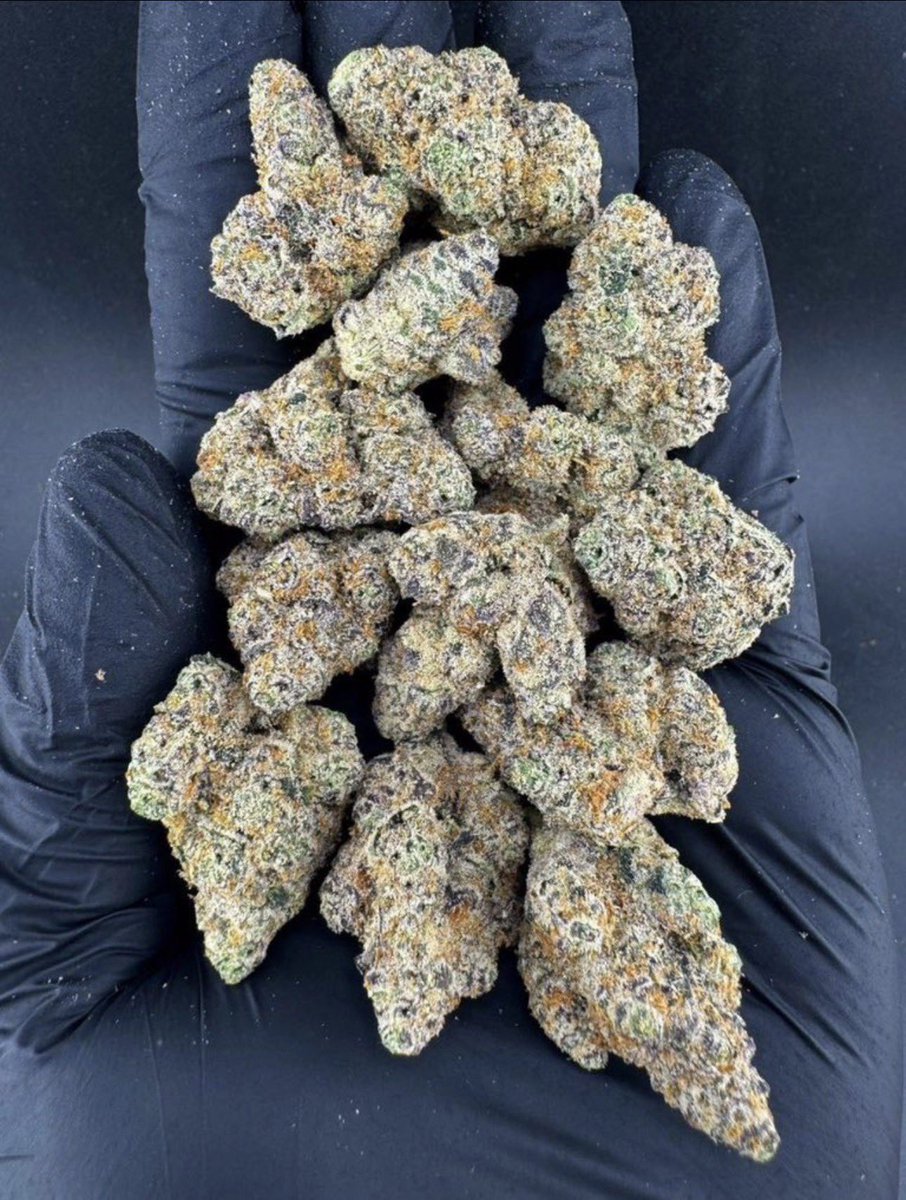MainPlug25's tweet photo. Raleigh &amp; Cary 🔥💨🌿 exotics ZAZA GAS lit NC plug weed bud Dank exotic loud sticky icky pressure nugs 🍃 droppin' 👀 #Weed #Gas #Raleigh #Cary https://t.co/GbgNwP9zLc