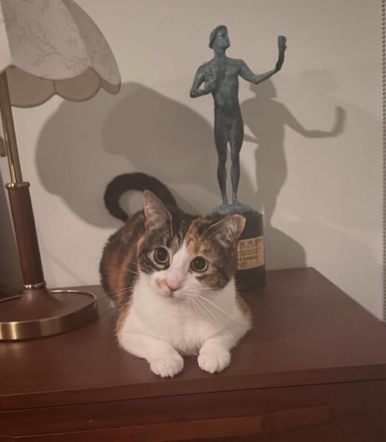 best of supriya ganesh tweet media