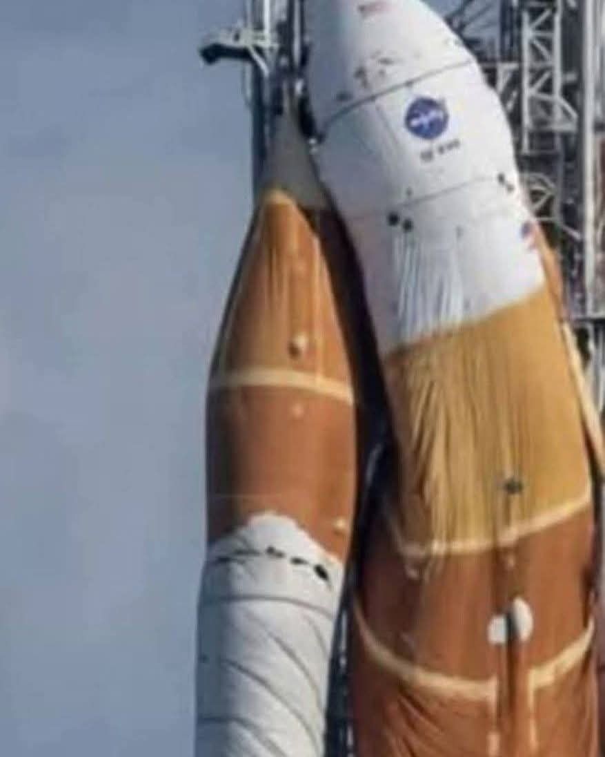 David Wolfe tweet media