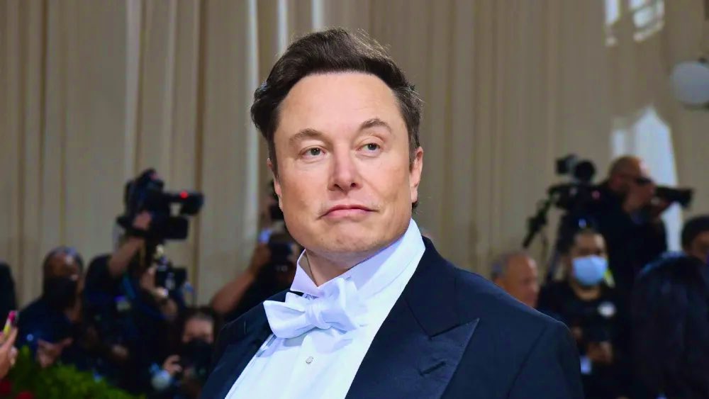 Not Elon Musk tweet media