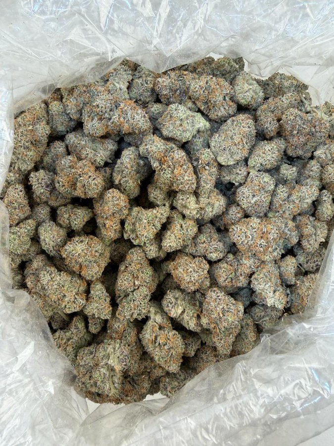 MainPlug25's tweet photo. Durham &amp; Chapel Hill 💨🍃🥦 exotics chronic LOUD zaza sticky plug weed bud Fire kush bud dank trees 💥 elevate now 😤 #Weed #Gas #Durham #ChapelHill https://t.co/IBPuVslhq5