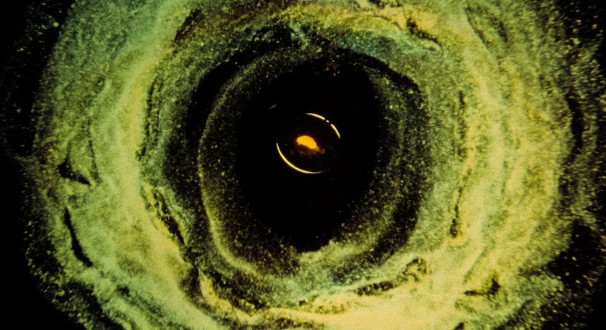 Jacob Calta tweet media