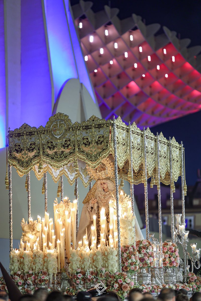 ©️ Dᴀɴɪᴇʟ Vᴀʟᴇɴᴄɪᴀ tweet media