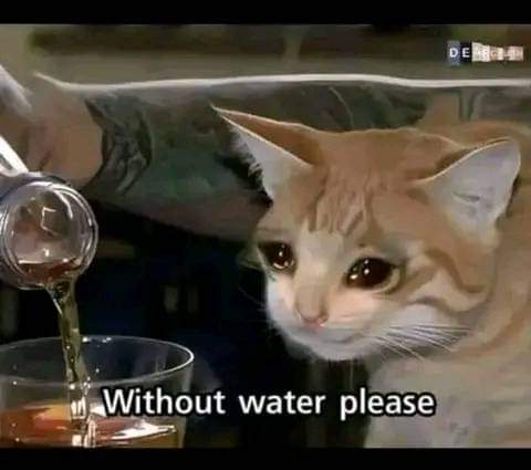 Peter Kinuthia tweet media