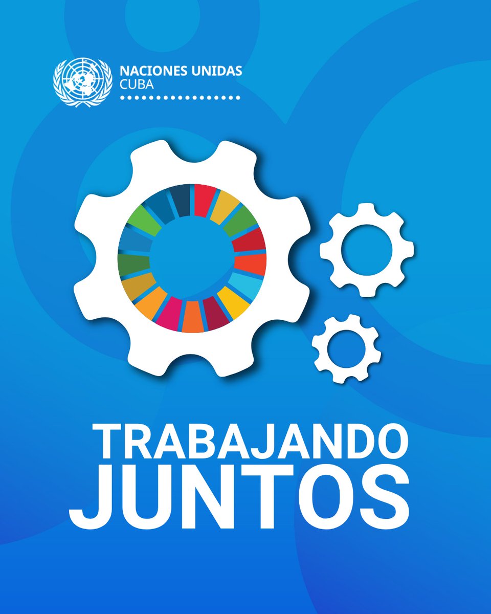 ONU en Cuba tweet media