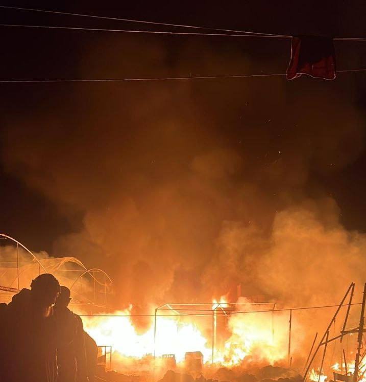 Nermeen from Gaza 𓂆🇵🇸🍉 tweet media