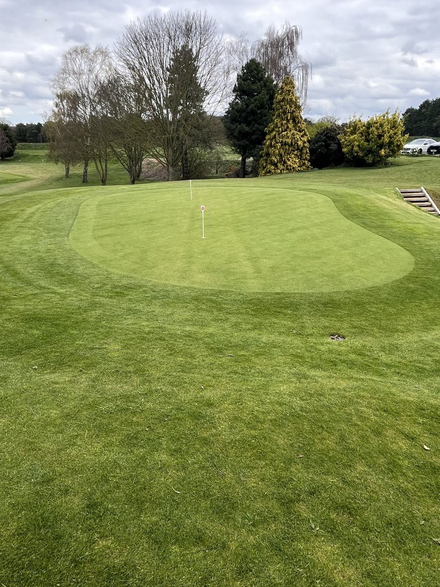 Sally Jarrett tweet media