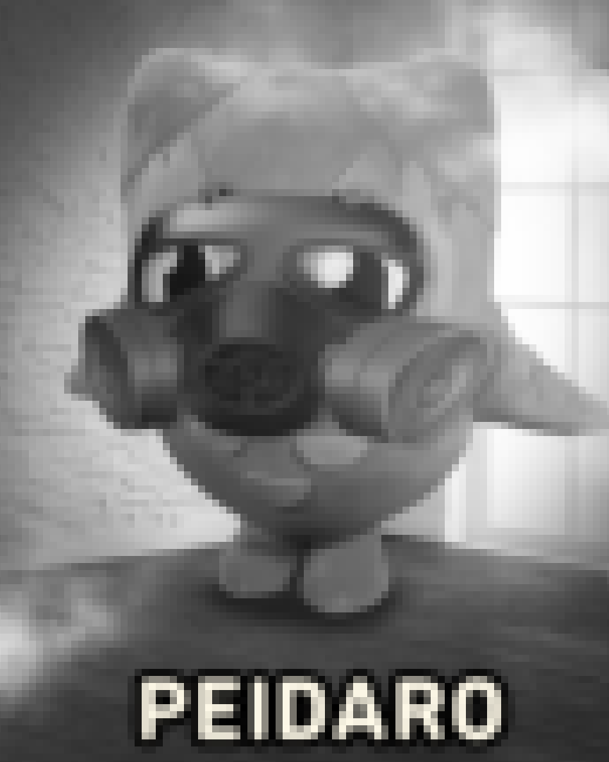 Duolingo Brasil 🇧🇷 tweet media