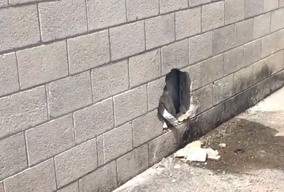 MBS Noticias tweet media