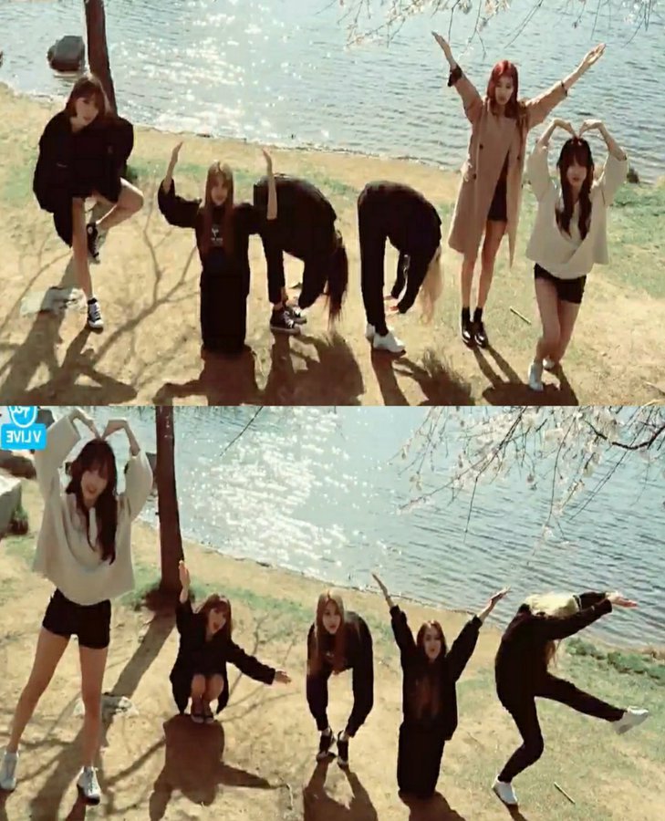 Knight Friend tweet media