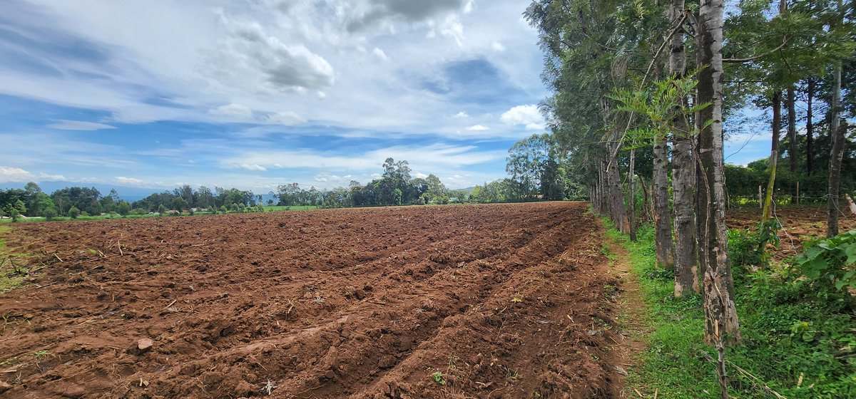 Khan of Khans™ tweet media