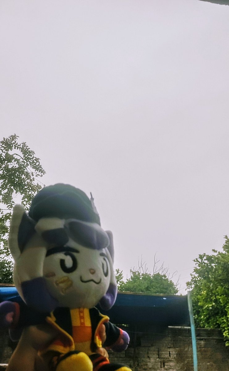 Waterfofu tweet media