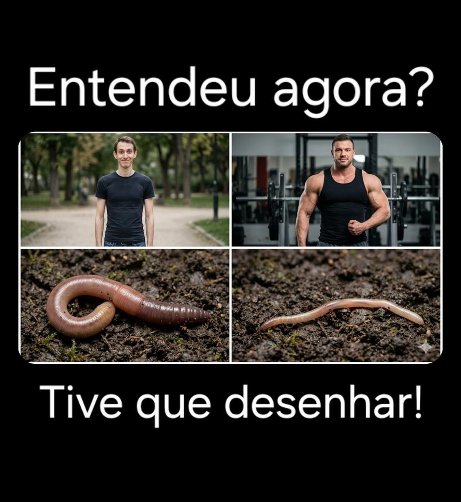 GaelManfredini's tweet photo. @brucaixeiro https://t.co/904WtO80ZY