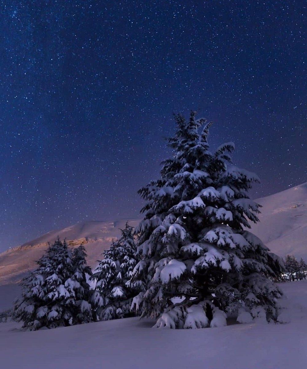 🇱🇧🇱🇧🇱🇧 tweet media