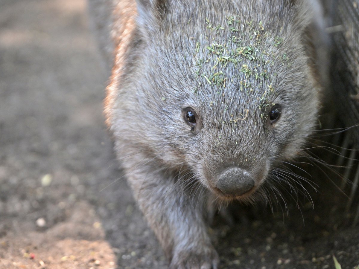 都築英哲 tweet media