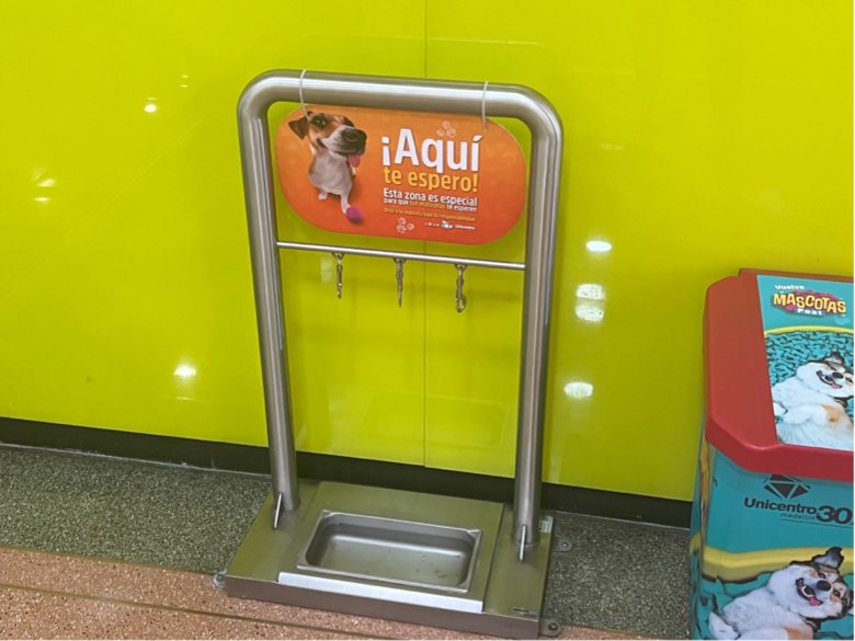 Solo Pablo tweet media