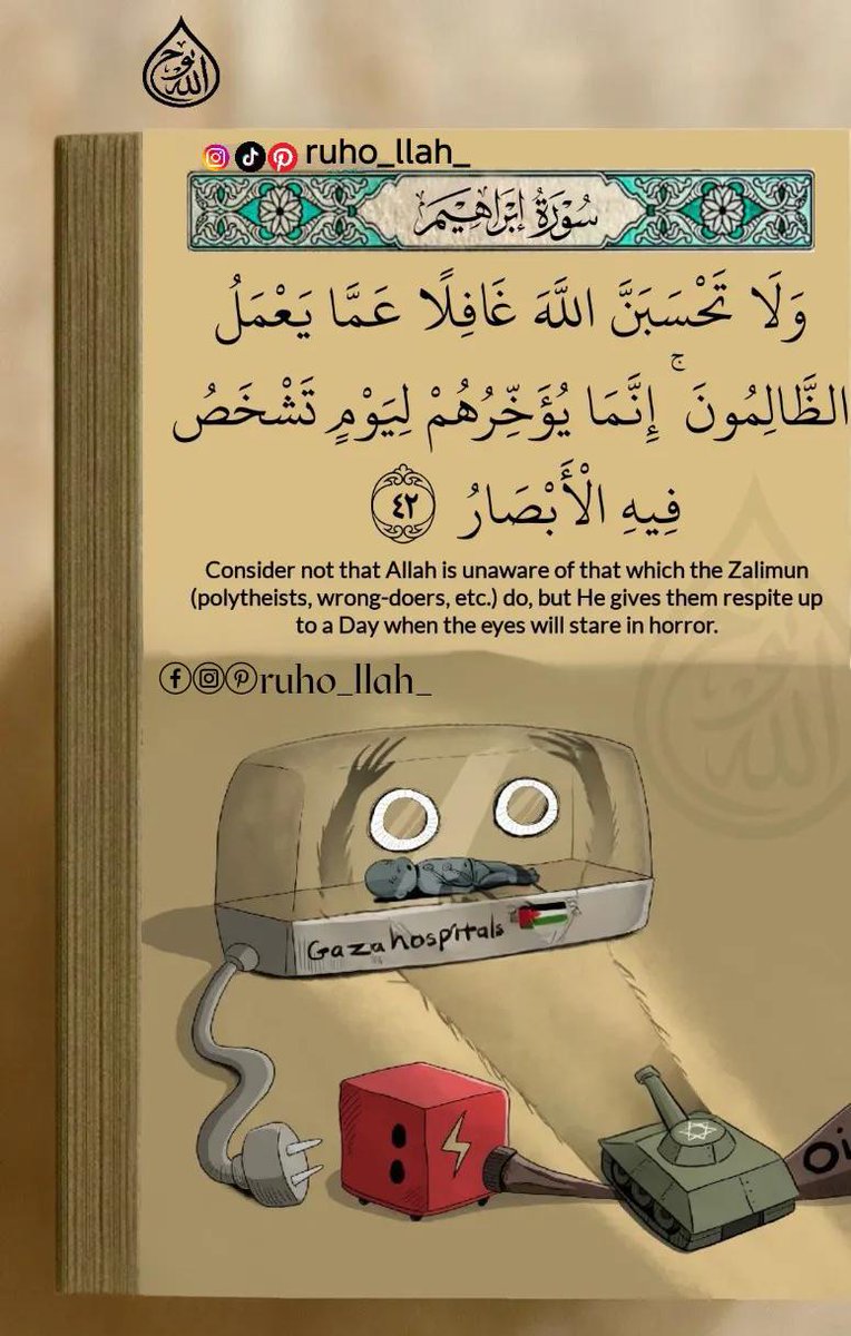 ★TITO ALAHLAWY74★✌🏻🔱🇵🇸 tweet media