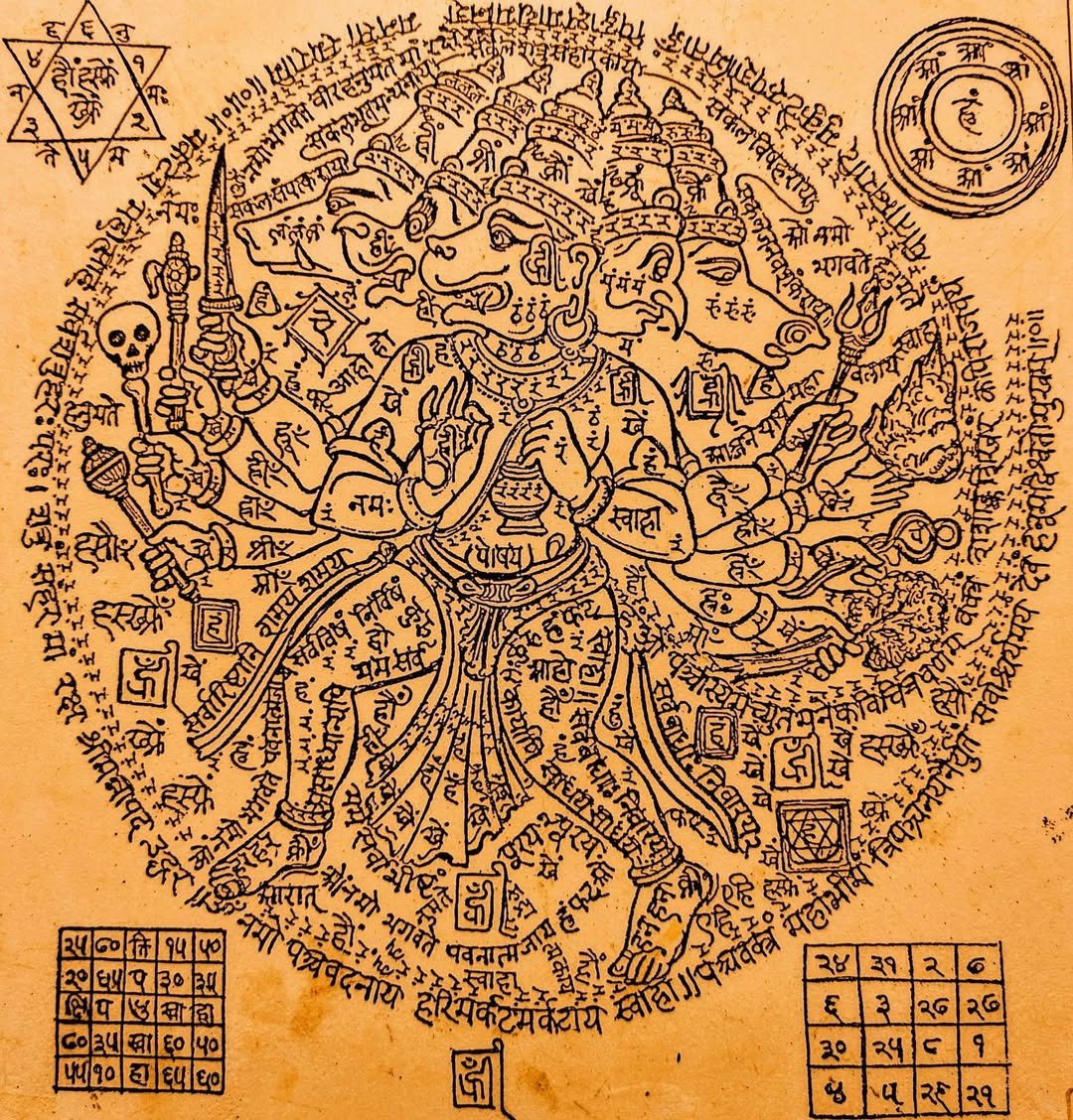 Suchi Sharma tweet media