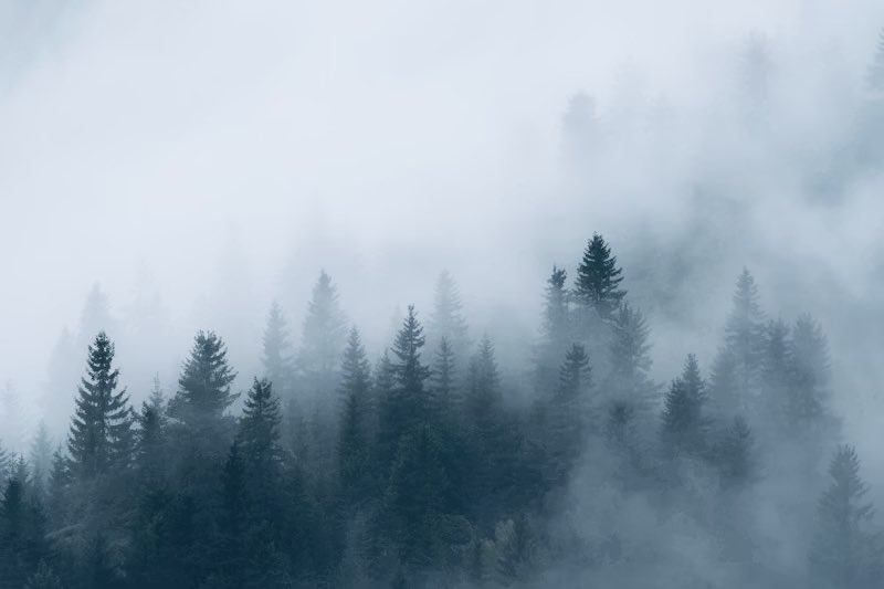 Foggy.