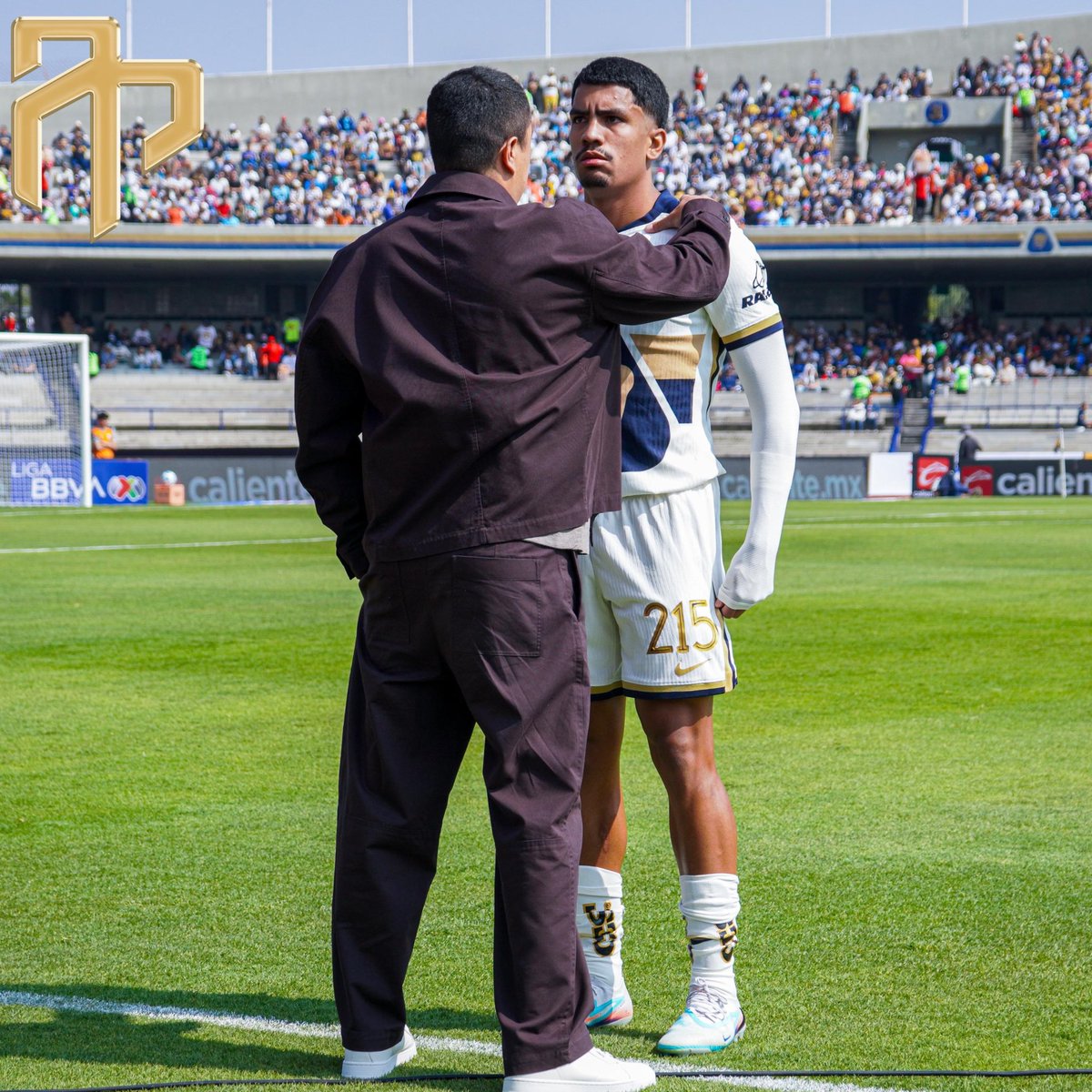 Brian Sales tweet media