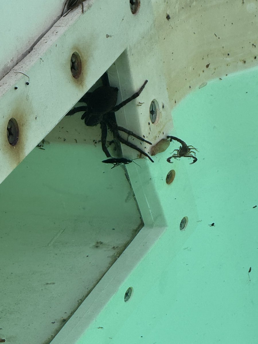 Tony Statovci tweet media