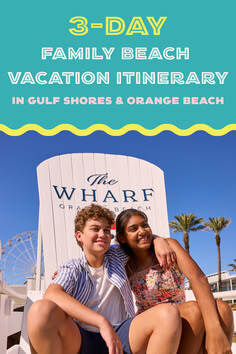 The Beach Life tweet media