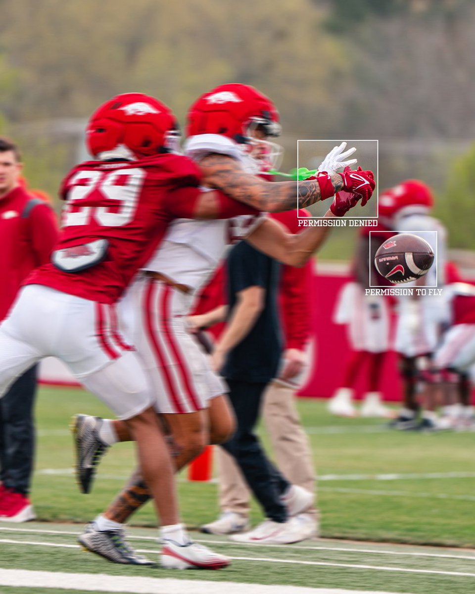 Arkansas Razorback Football tweet media