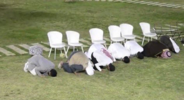 فيـــولا tweet media