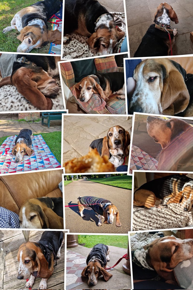 Ruby Monster tweet media