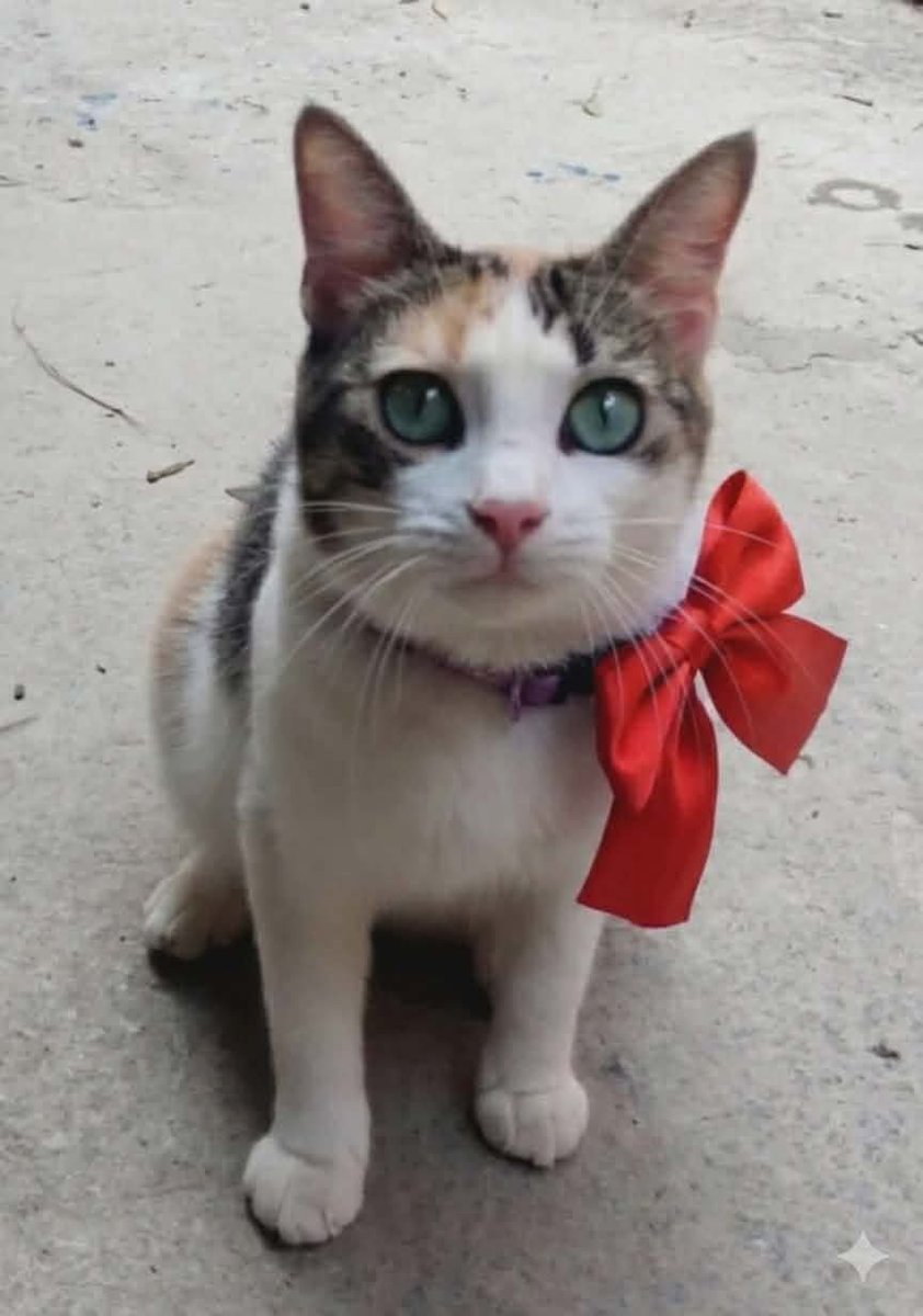 PerroUsuario Wof '•' tweet media