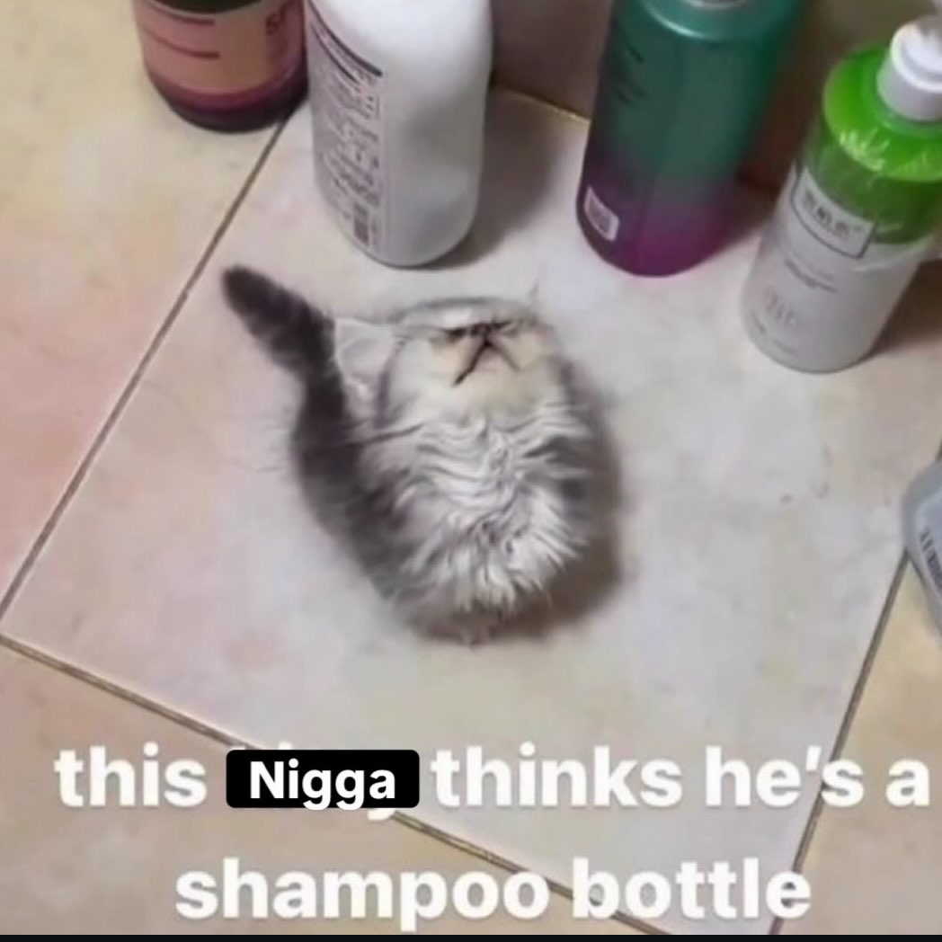 brainrot dimension tweet media