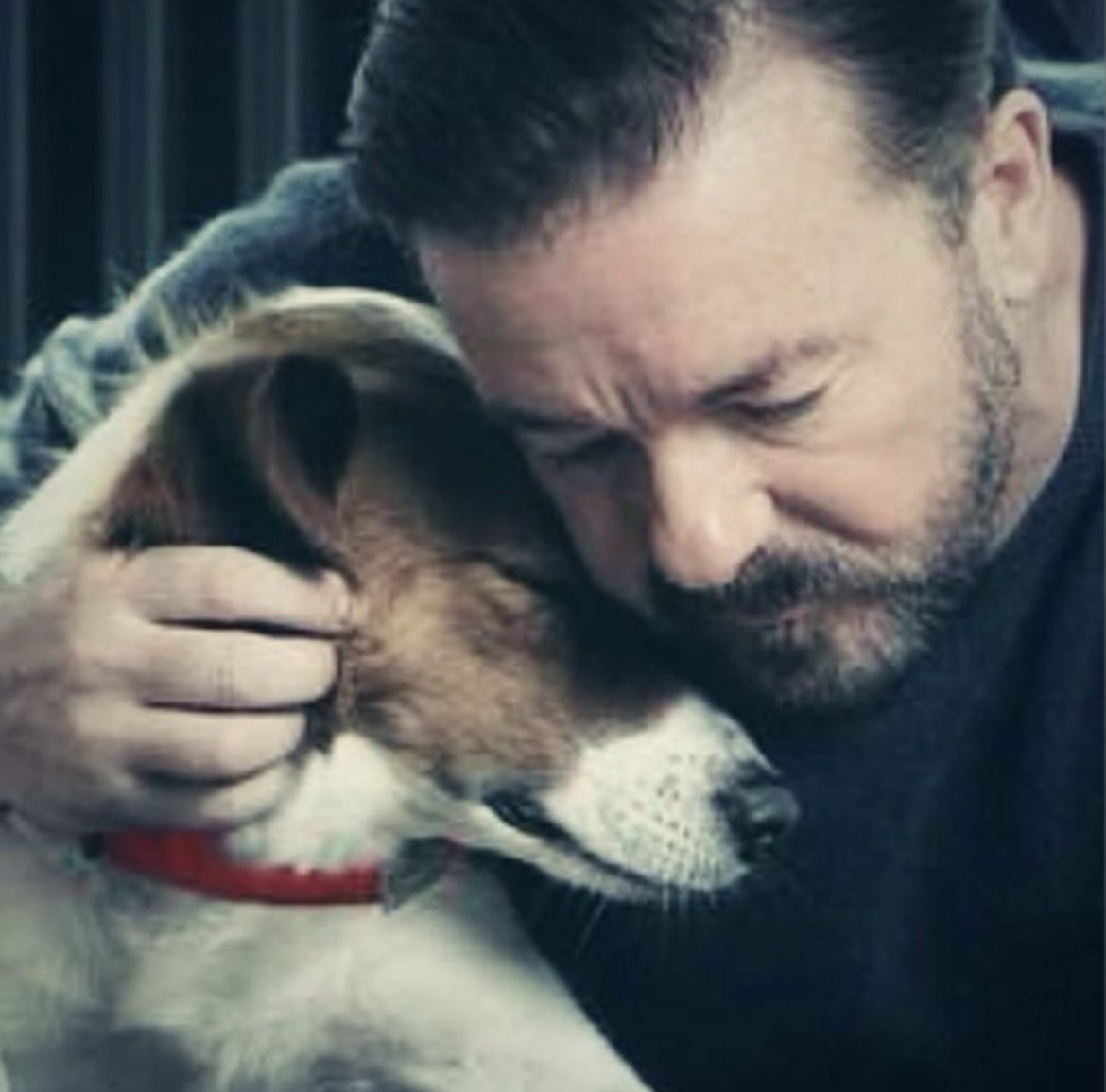 After Life 🐕‍🦺 tweet media