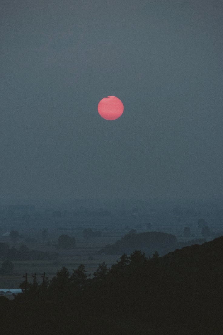 KEVIN GRAYSON. tweet media