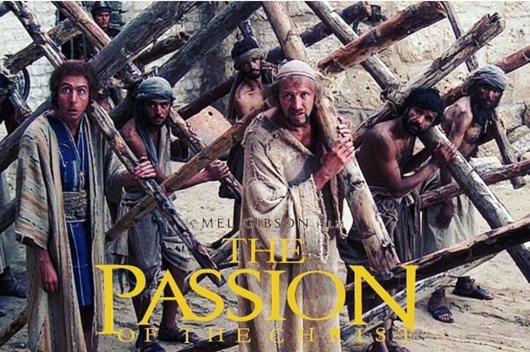 Peli de Tarde tweet media