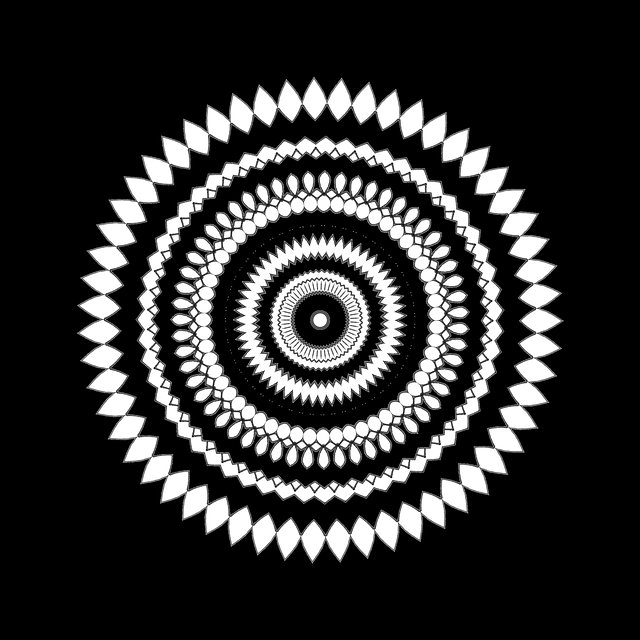 Megan Rodriguez tweet media