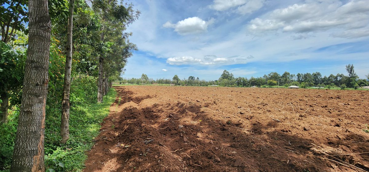 Khan of Khans™ tweet media