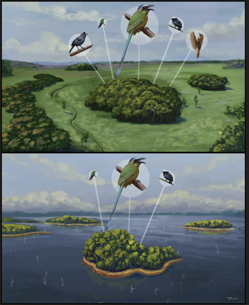 🐾Carlos Peres🐾 tweet media