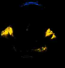 Jeffy fan tweet media