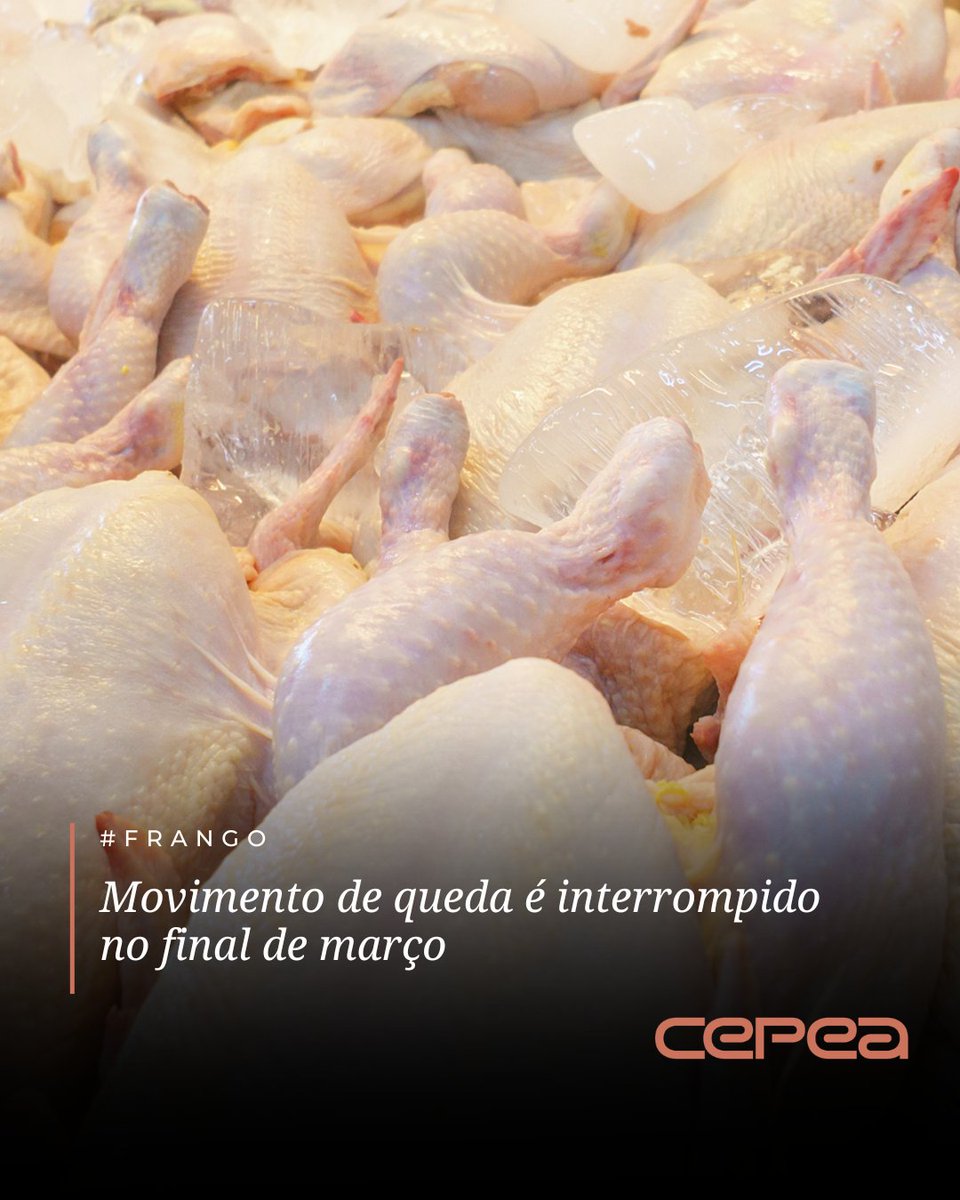 CepeaEsalq's tweet image. #FRANGO – O movimento de queda nos preços da carne de frango, que vinha sendo observado desde o começo de 2026, foi interrompido nos últimos dias de março.

Segundo pesquisadores do Cepea, a reação nos valores da carne esteve atrelada sobretudo ao encarecimento dos fretes.

O