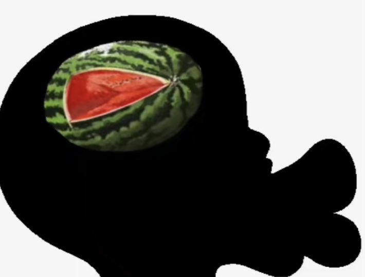 Craig A. McDonald tweet media