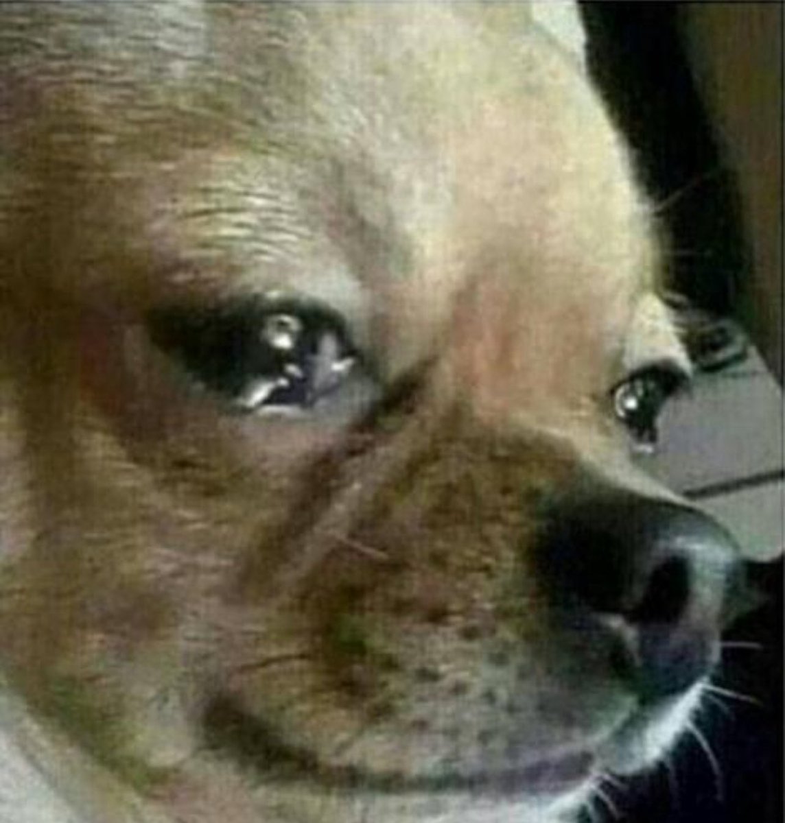 ❇️Sora Orion Okami❇️|18+ Retired Mage VTuber| tweet media