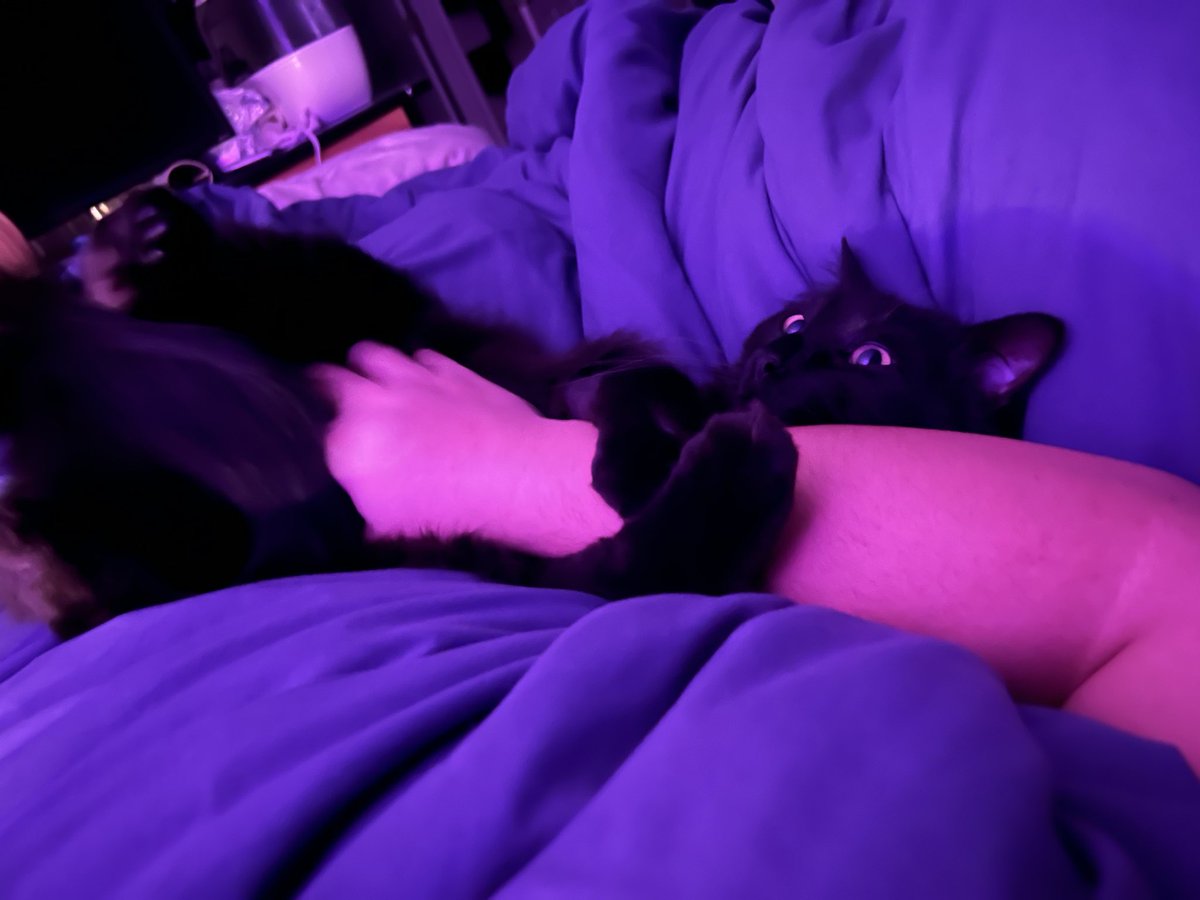 Streamlabs tweet media